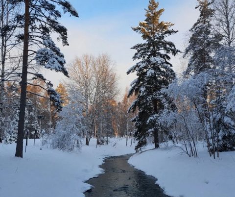 По следам Бажовских сказов. Тур на Рождество